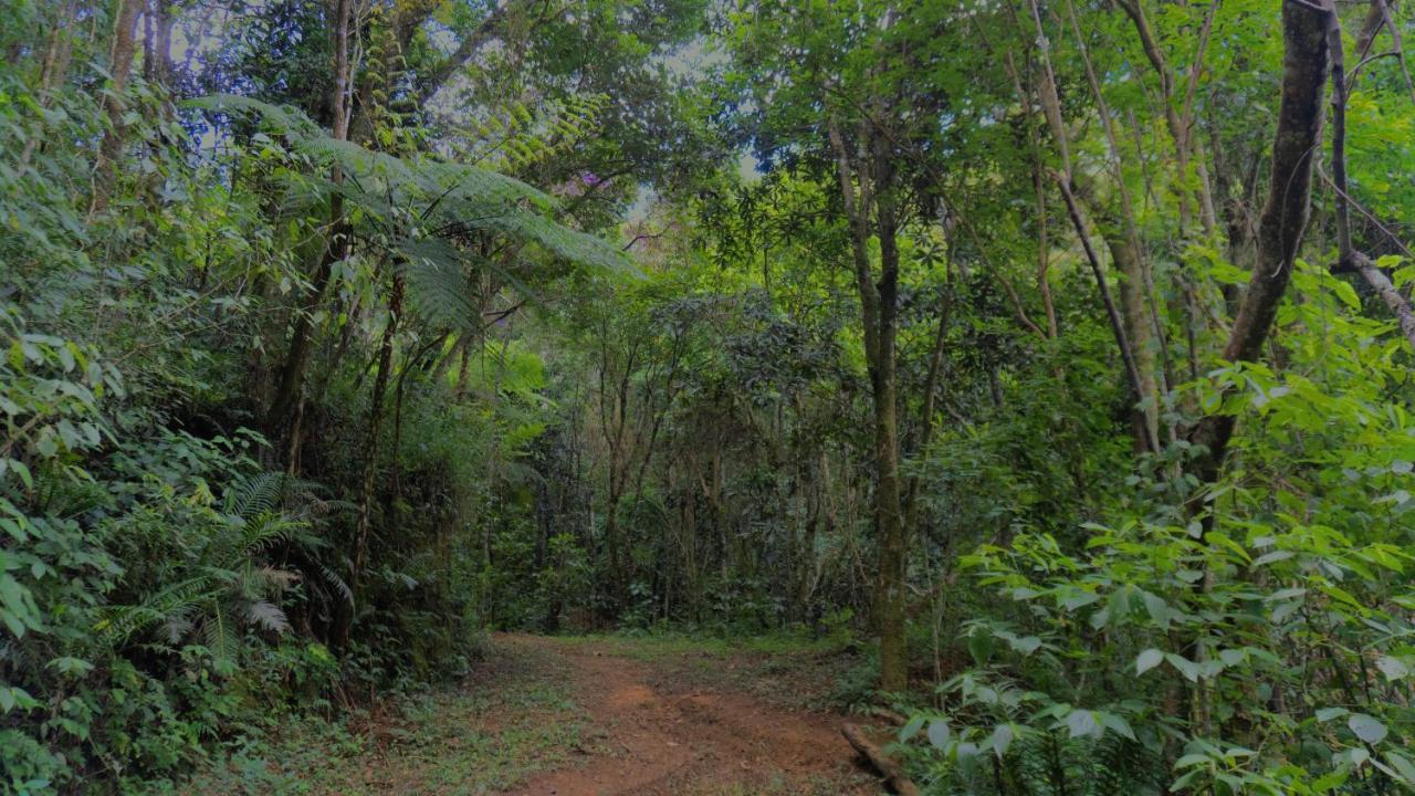 Pousada Alpes Santo Antonio do Pinhal Bagian luar foto